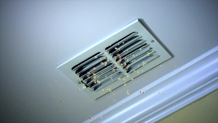 Best HVAC Duct Inspection Services  in Ruston, LA