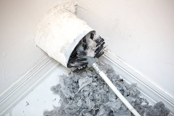 Best HVAC Duct Inspection Services  in Ruston, LA